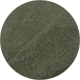 Эмаль глянец цвет NSC S 6000-N / Ткань&nbsp;Newton&nbsp;цвет&nbsp;Forest&nbsp;